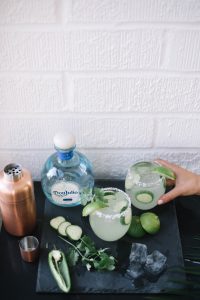 LA Blogger Tania Sarin displaying interior design and don julio drink ideas for a tequila themed party
